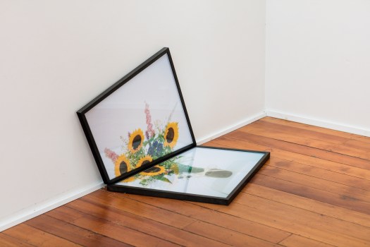 tommackie_work_wgn060a3304